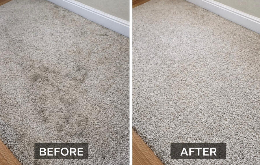 Before & after results from professional carpet steam cleaning, targeting deep soil, salt buildup, and high-traffic areas.